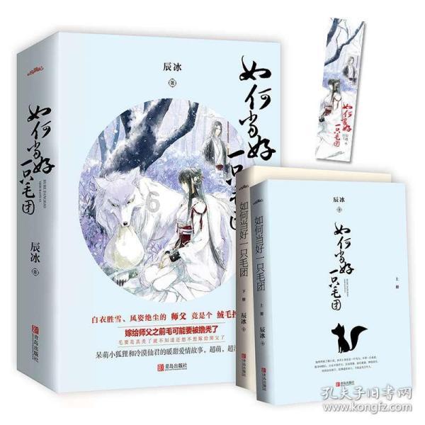 疯狂的小偷